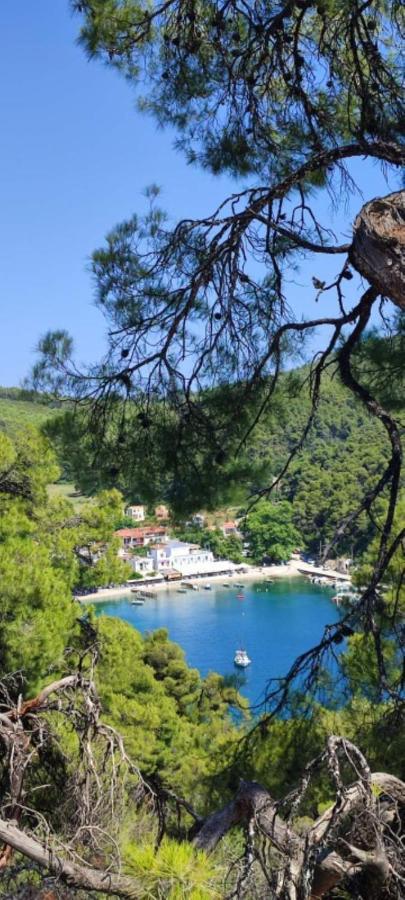 Skopelos Country House Diamantis & Chrisi Agnontas Экстерьер фото
